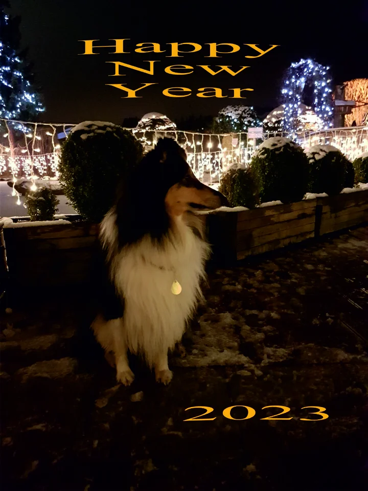 Happy New Year 2023 Tammy.webp