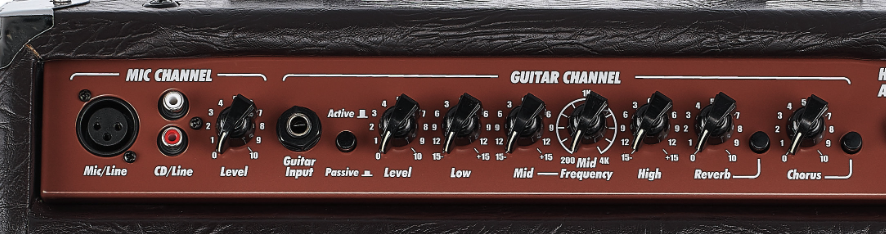 Amp für Gesang und Gitarre