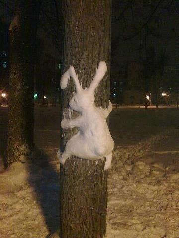 hase_schnee.jpg