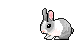 hasen00013.gif