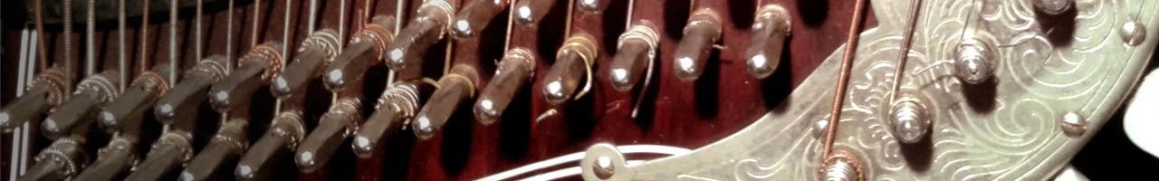 Header Zither ohne.webp