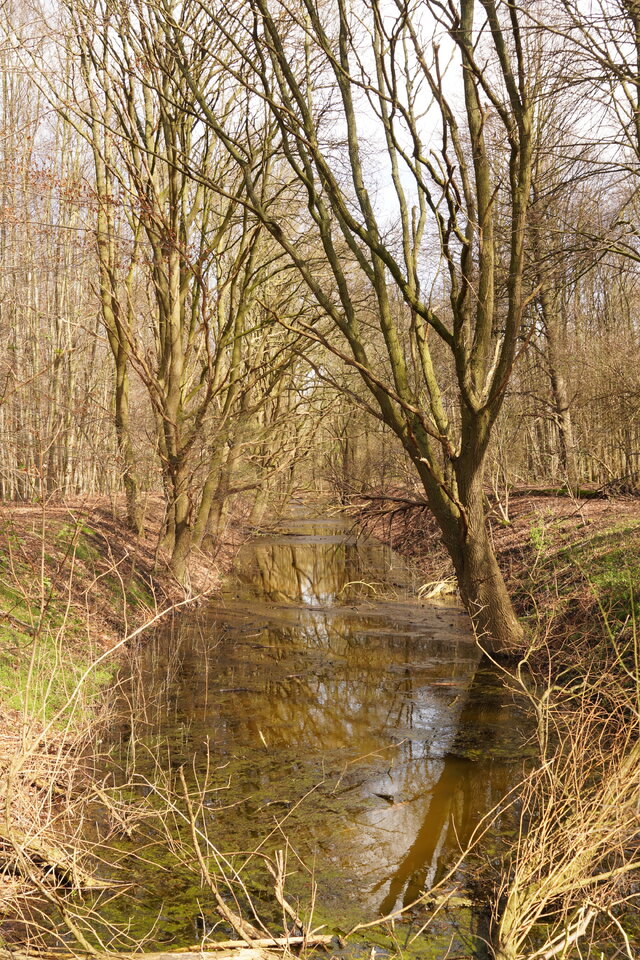Heidegraben_MB_skaliert.JPG