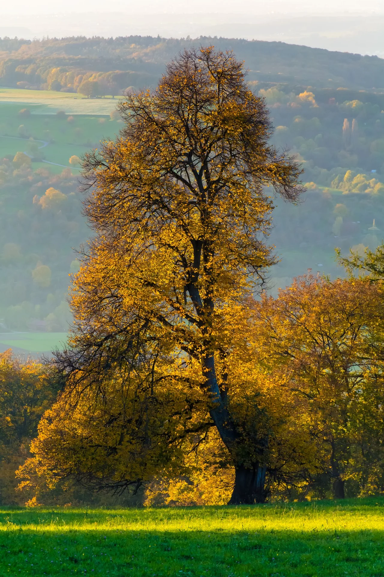 Herbstzeit.webp