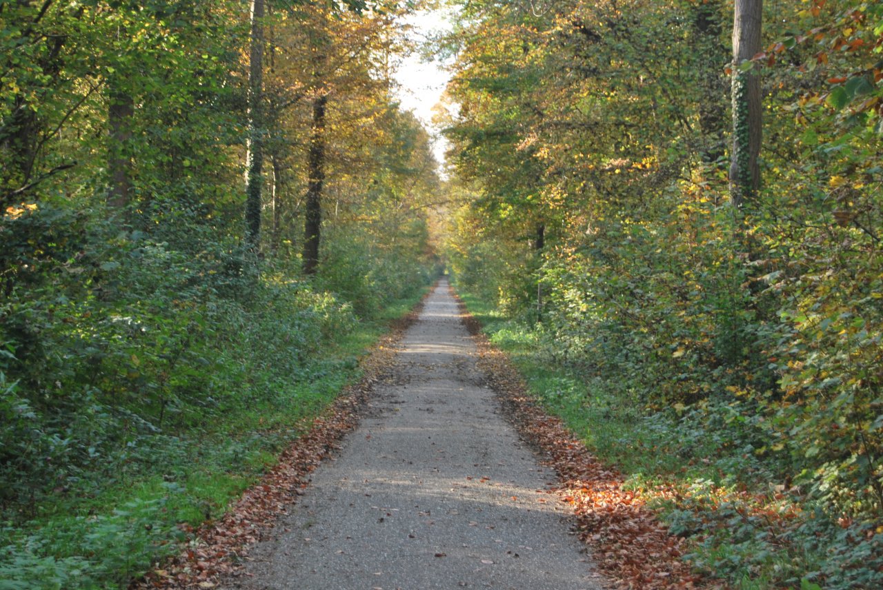Hinweg.JPG