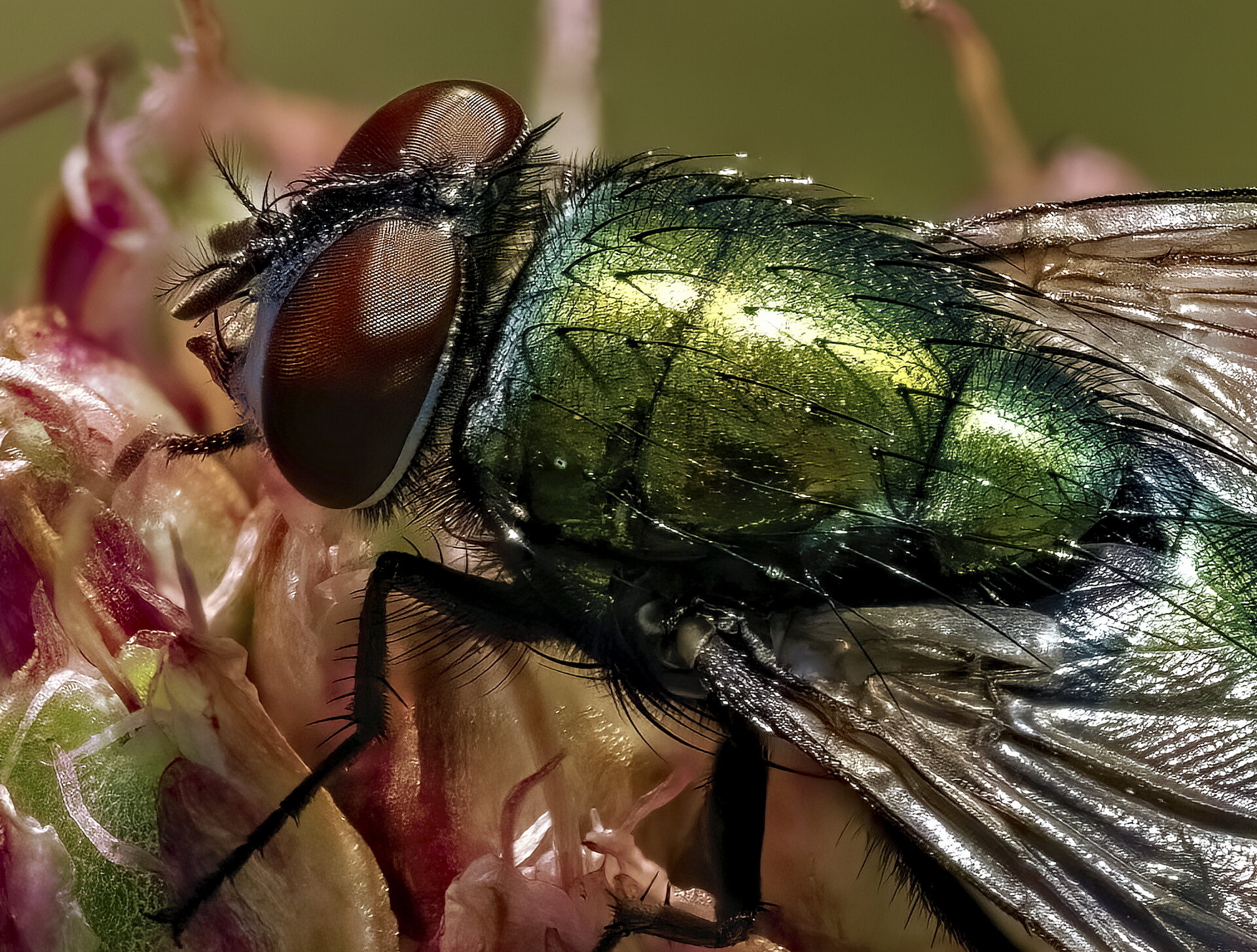 HK_3849-59_kl-De-R_kl.jpg