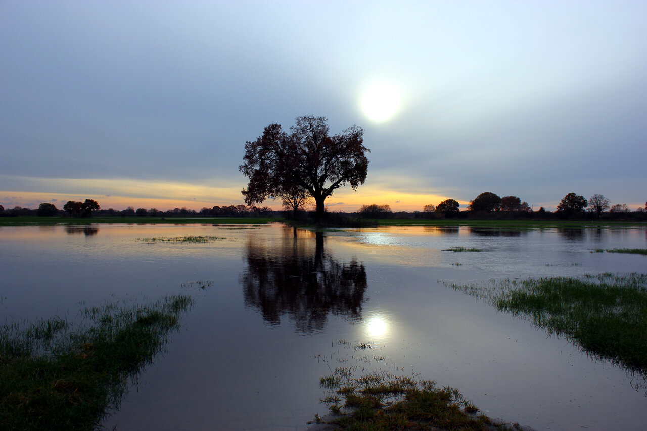Hochwasser1.JPG