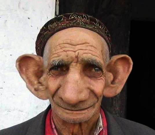 hoeren2.jpg