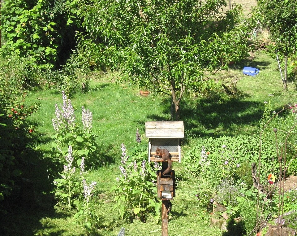 hörnchen.jpg