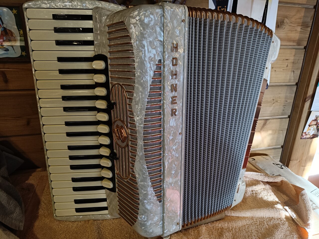 Hohner Gola Weiß.jpg