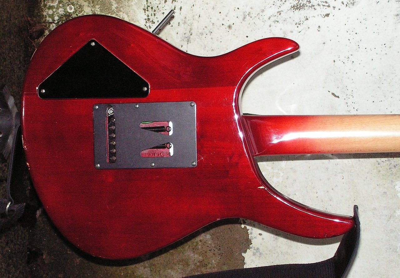 Hohner Revelation ATX 0993 body back.jpg