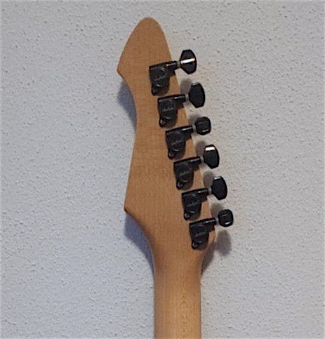 Hohner Revelation RTS 6-in-line.jpg