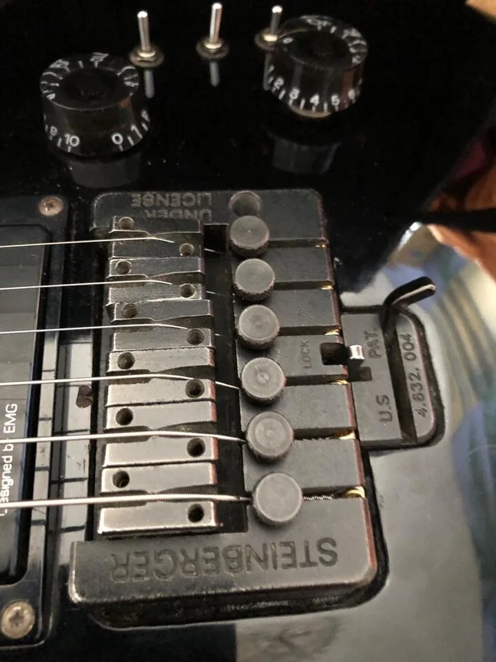 Hohner SG lion KB finetune.jpg