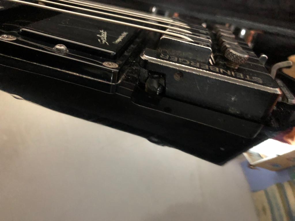 Hohner SG Lion KB.jpg