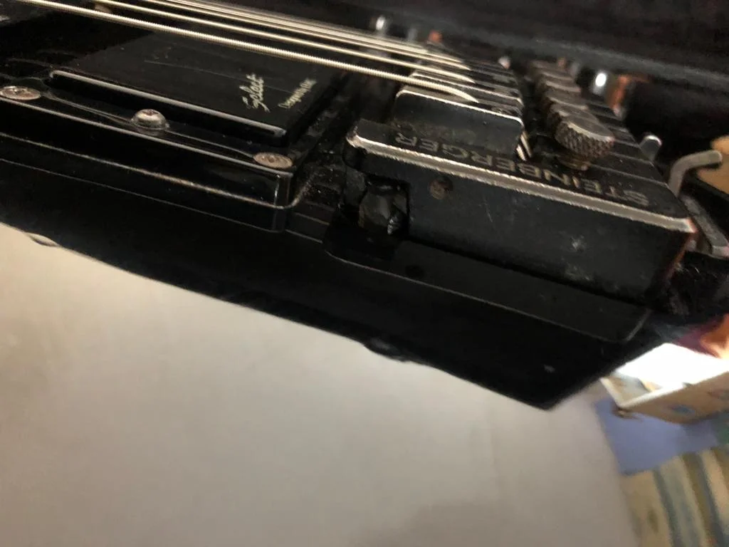 Hohner SG Lion KB.jpg