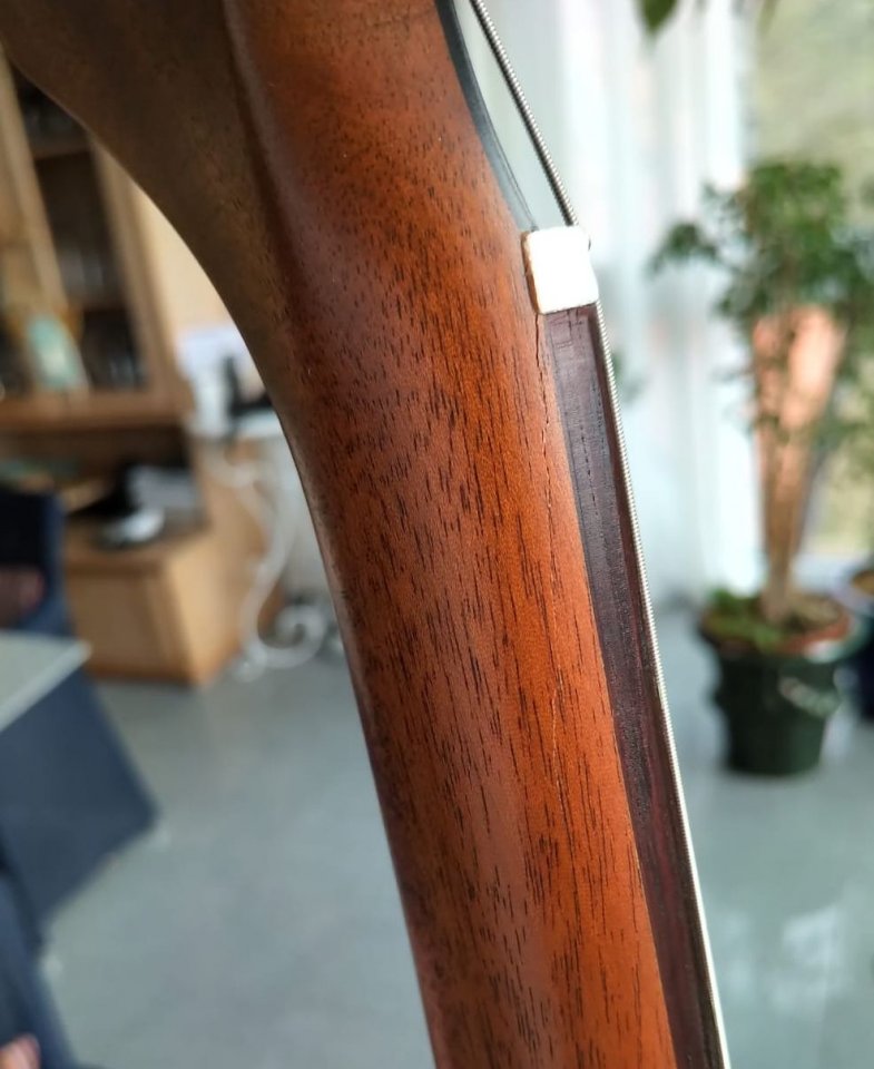 Honeyburst2.jpg