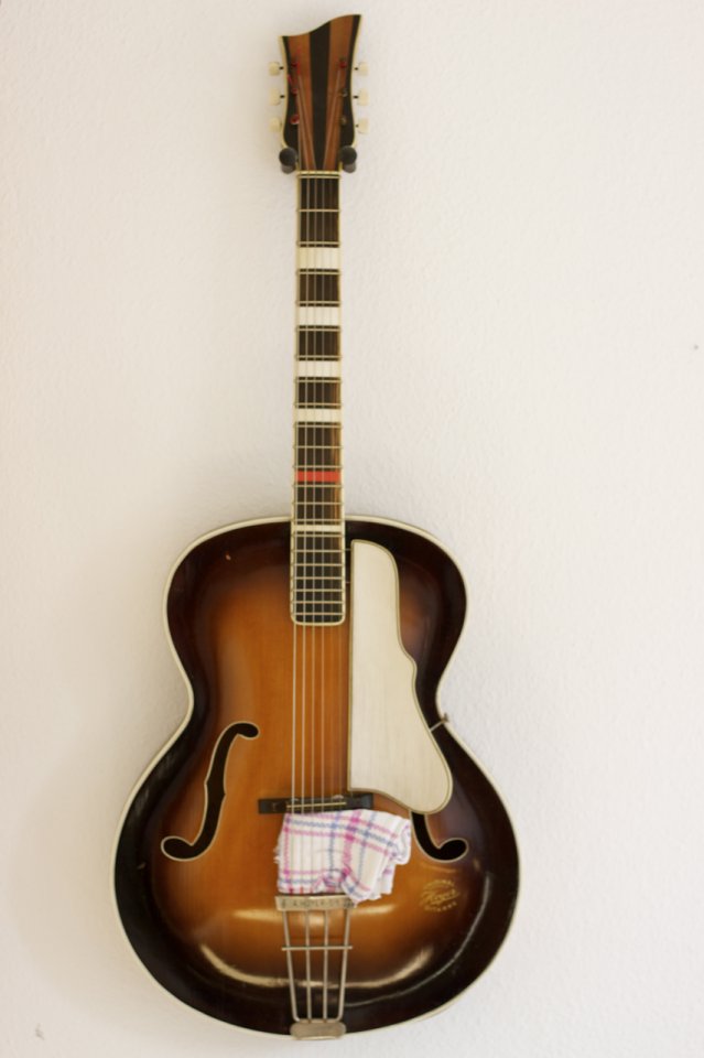 Hoyer Archtop.jpg