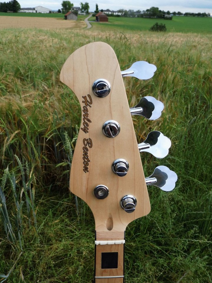 hybridneck1.jpg