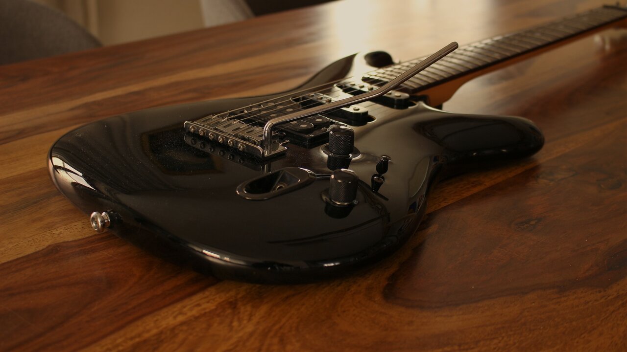 Ibanez Ergodyne (1).JPG