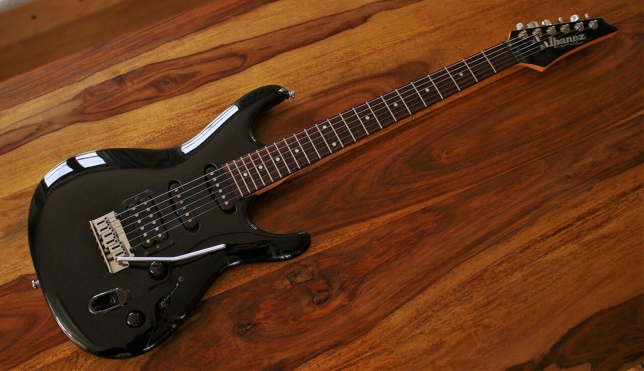 Ibanez Ergodyne (2).JPG