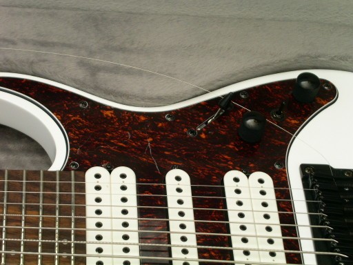 Ibanez TAM-10 Griffbrett.jpg