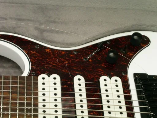 Ibanez TAM-10 Griffbrett.webp