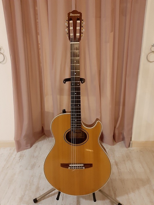 Ibanez1.jpg