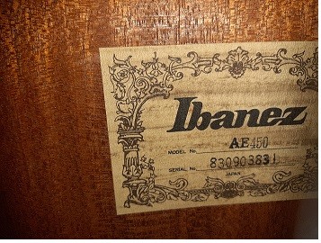 Ibanez2.jpg