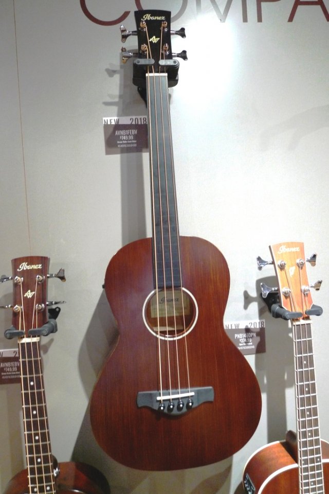 ibanez24.JPG