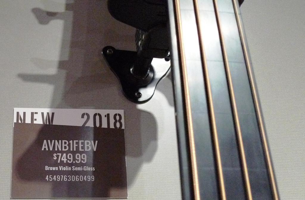 ibanez25.JPG