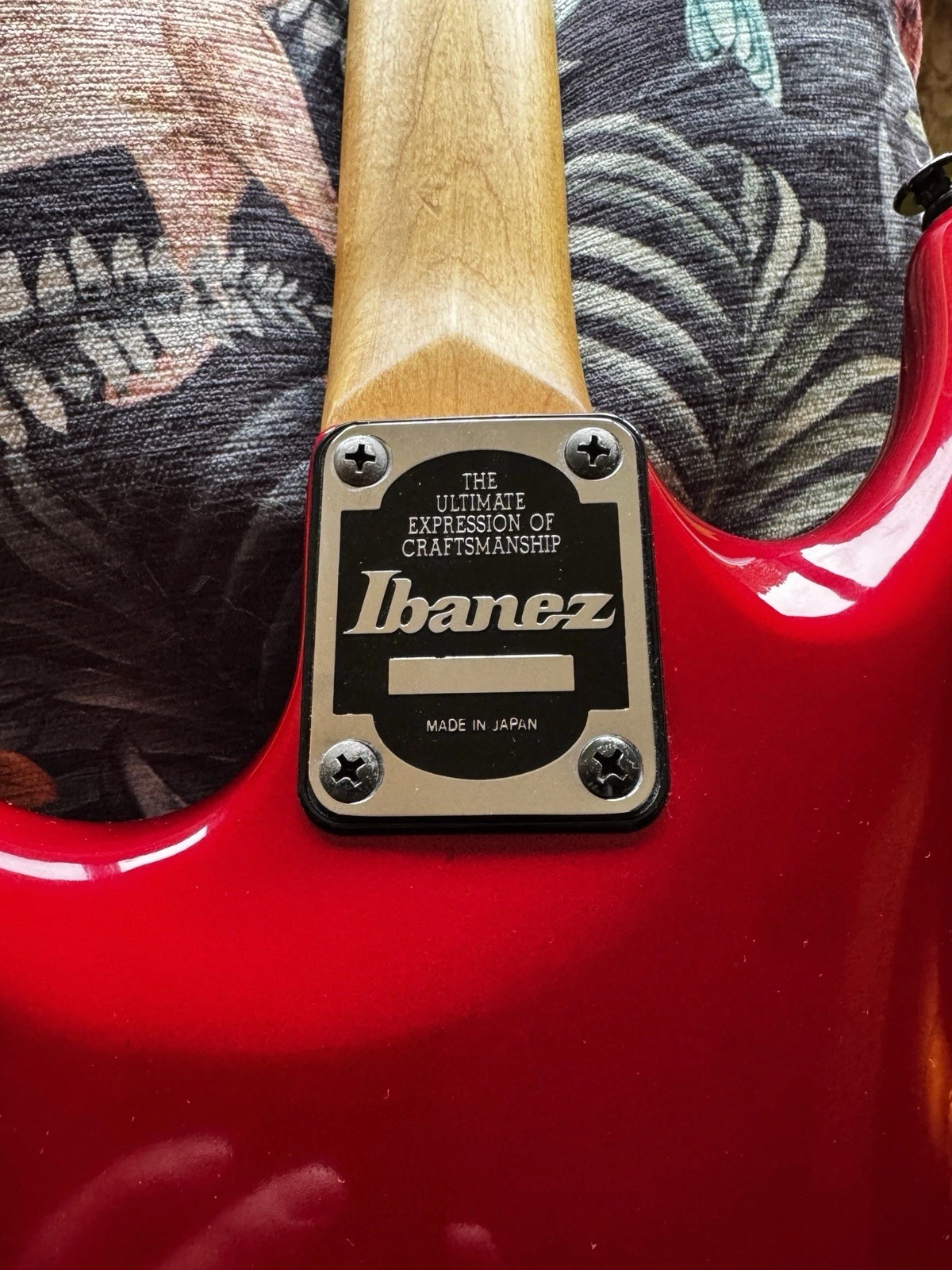 Ibanez_540R_modified_MIDI_SteveRothery_05.png