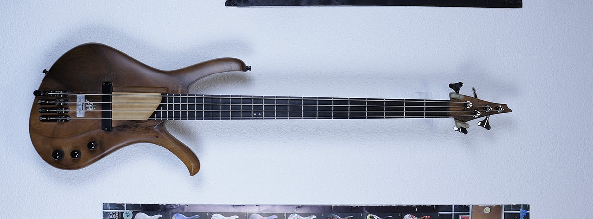 Ibanez_A204_1994_F.jpg