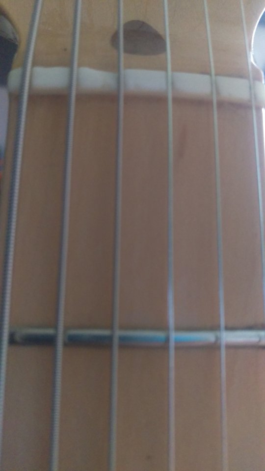 IMAG0120.jpg