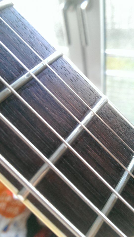 IMAG0308.jpg