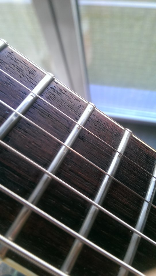 IMAG0309.jpg
