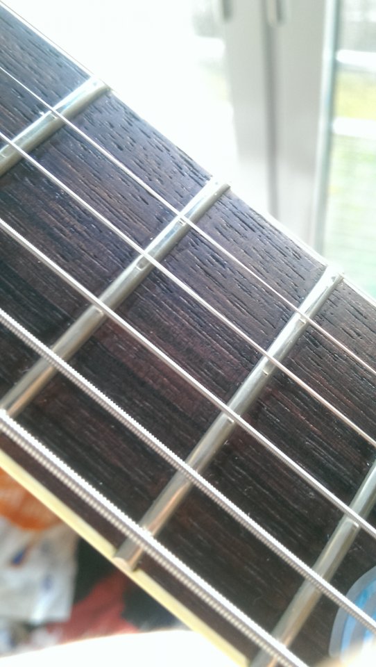 IMAG0311.jpg