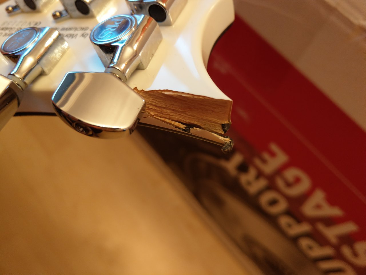 IMAG0410.jpg