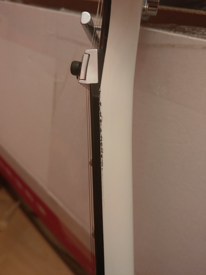 IMAG0413.jpg