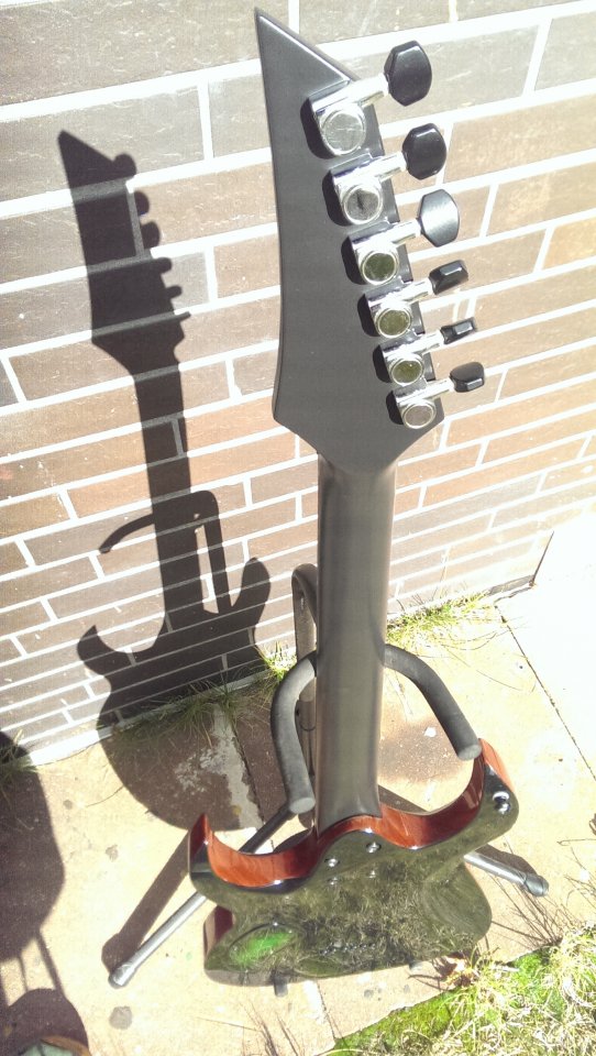 IMAG0433.jpg