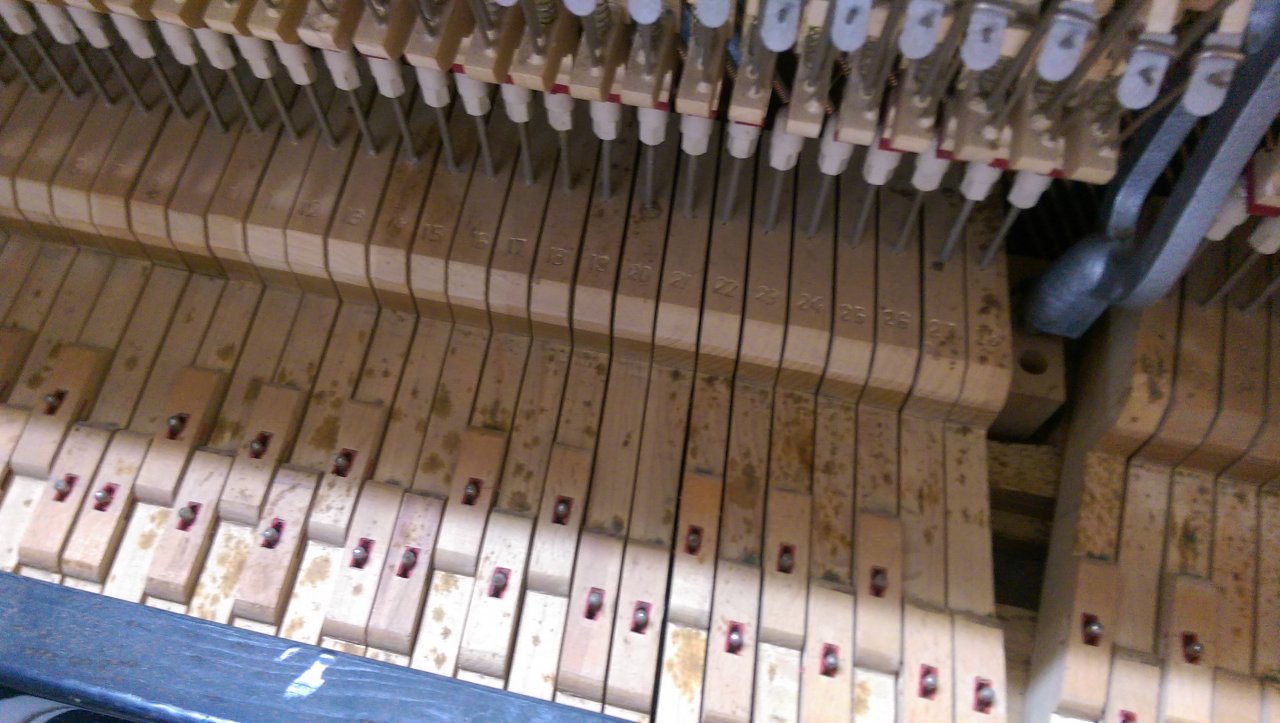 IMAG2674.jpg