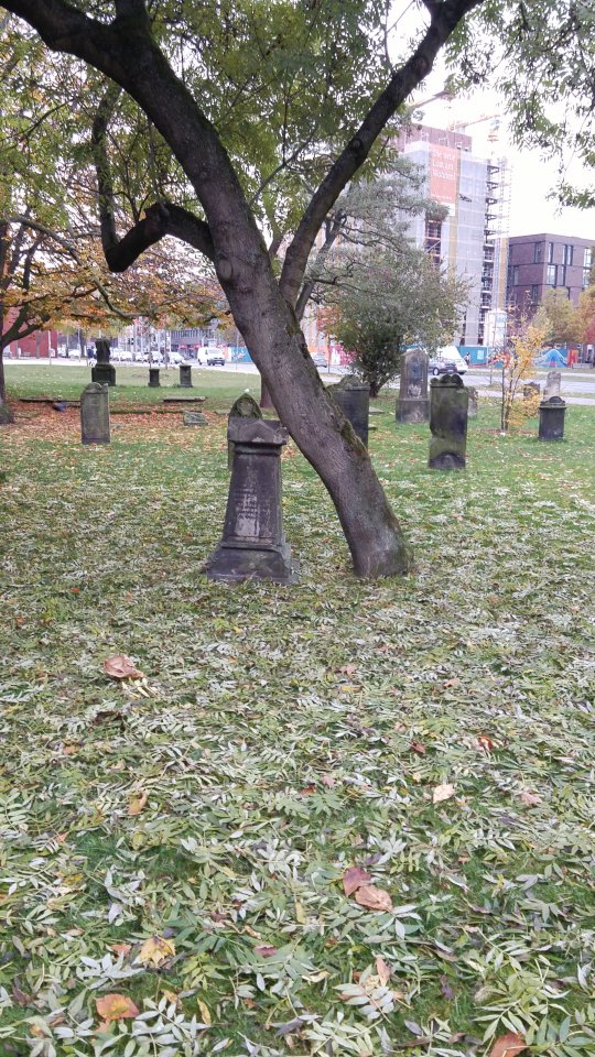 IMG-20161106-WA0000.jpeg