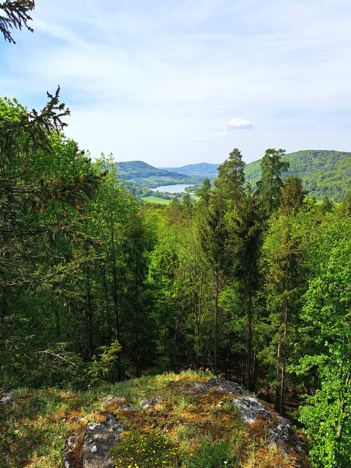 IMG-20240502-WA0009.jpg