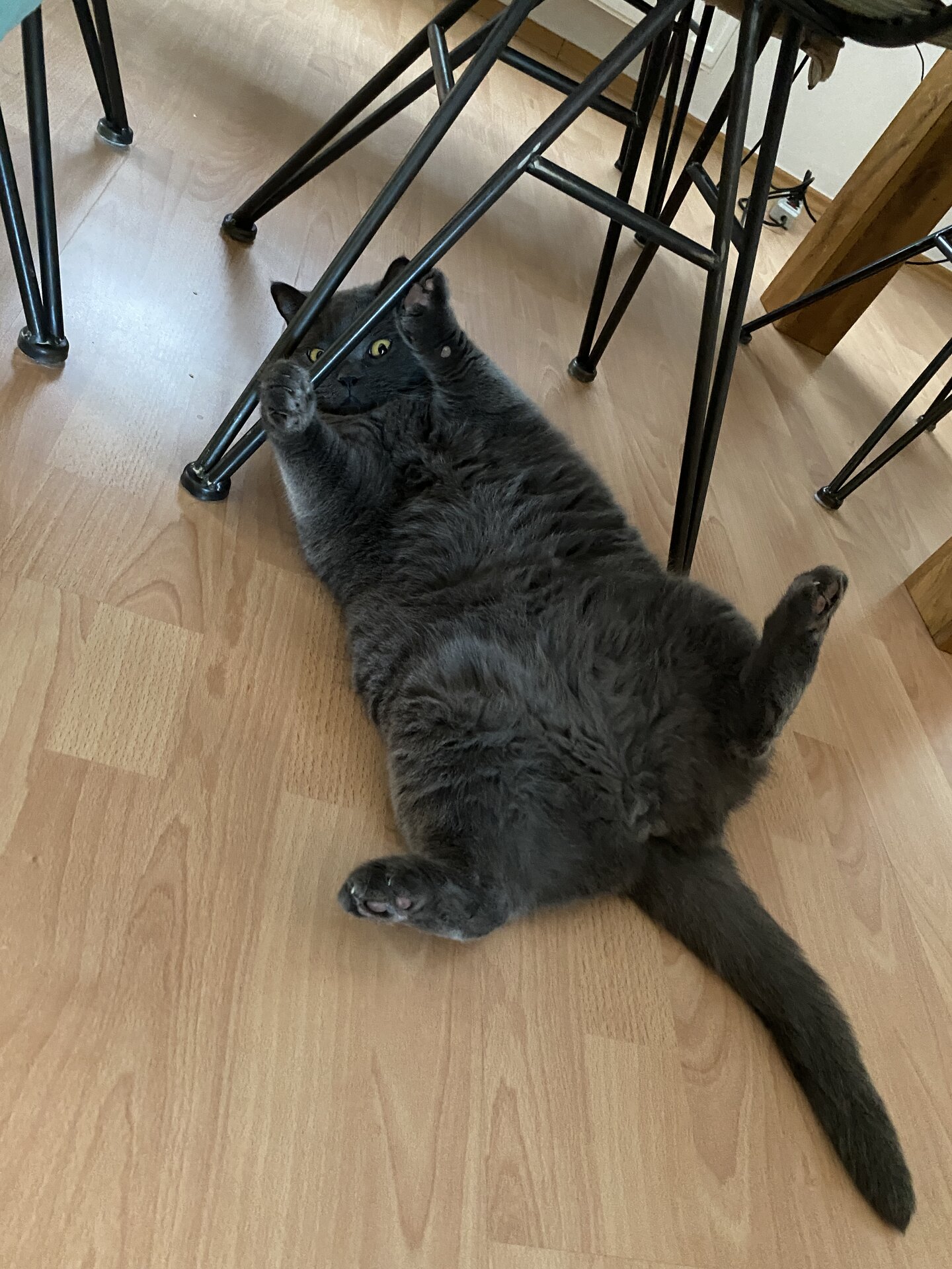 IMG_0440.jpeg