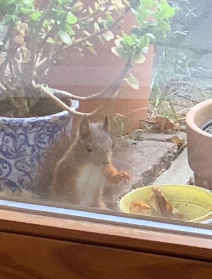 IMG_0624.jpeg