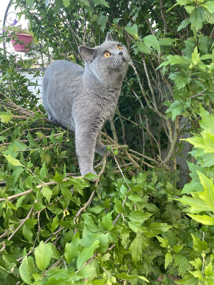 IMG_0738.jpeg
