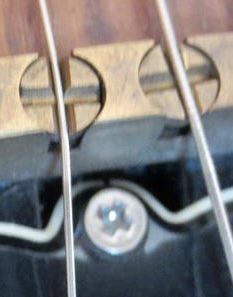 IMG_0847.jpeg