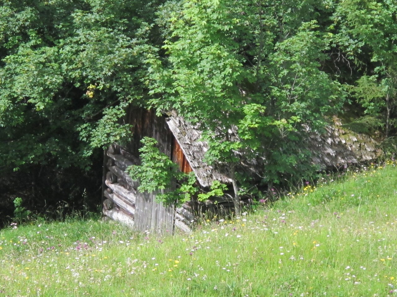 IMG_1548.JPG