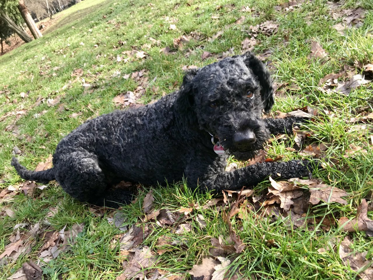 IMG_1632.jpeg