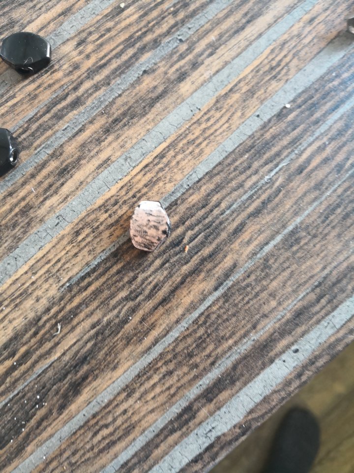 IMG_20180609_150410.jpg