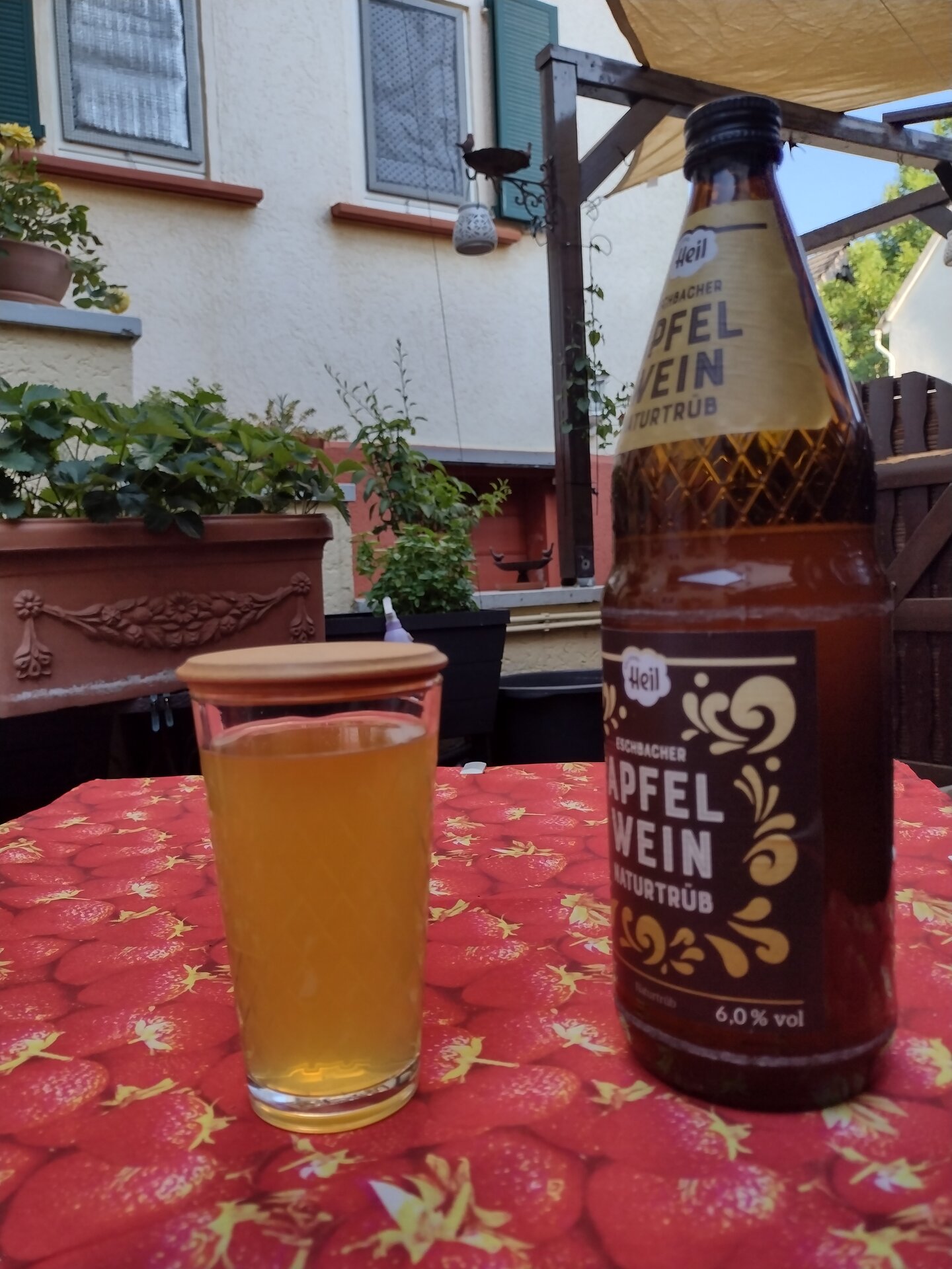 IMG_20250702_183328749_HDR.jpg