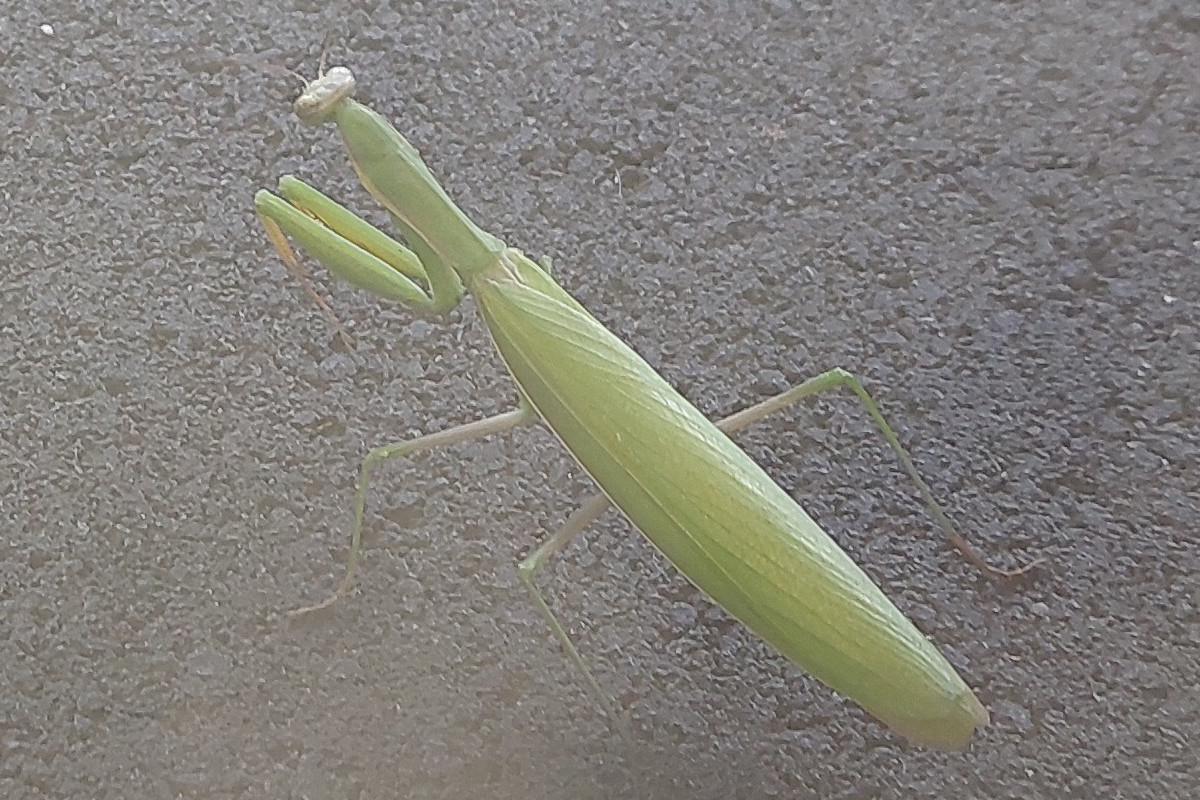 IMG_20250808_cropped.jpg